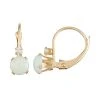 Designs By Gioelli 10k Gold Round-Cut Lab-Created Opal & White Zircon Leverback Earrings -Designs by Gioelli Shop unnamed file 146
