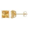 Designs By Gioelli Citrine 10k Gold Stud Earrings -Designs by Gioelli Shop unnamed file 326