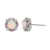 Designs By Gioelli Sterling Silver Lab-Created Opal & Amethyst Stud Earrings -Designs by Gioelli Shop unnamed file 486