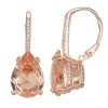 Designs By Gioelli 14k Rose Gold Over Silver Simulated Morganite Teardrop Leverback Earrings -Designs by Gioelli Shop unnamed file 74