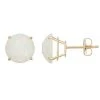 Designs By Gioelli Lab-Created Opal 10k Gold Stud Earrings -Designs by Gioelli Shop unnamed file 751